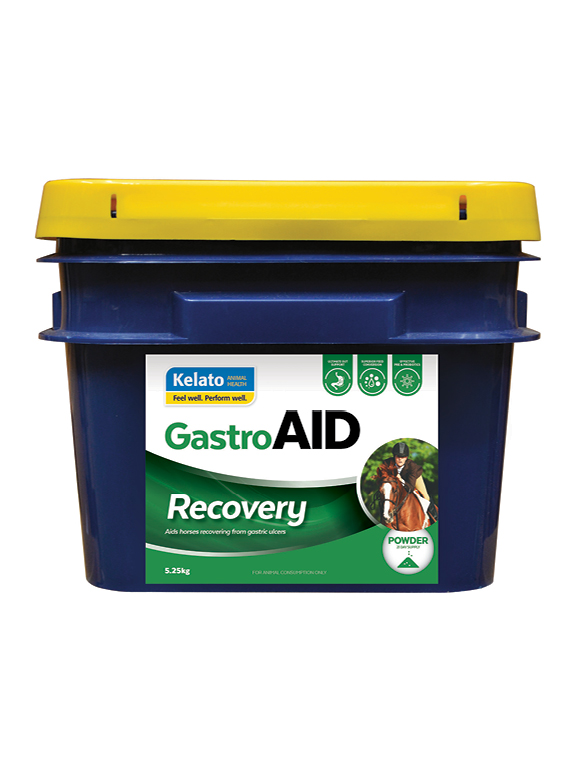 GastroAID - Recovery